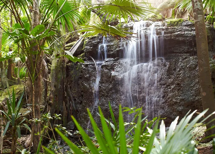 Viceroy Riviera Maya, A Luxury - Adults Only 5*