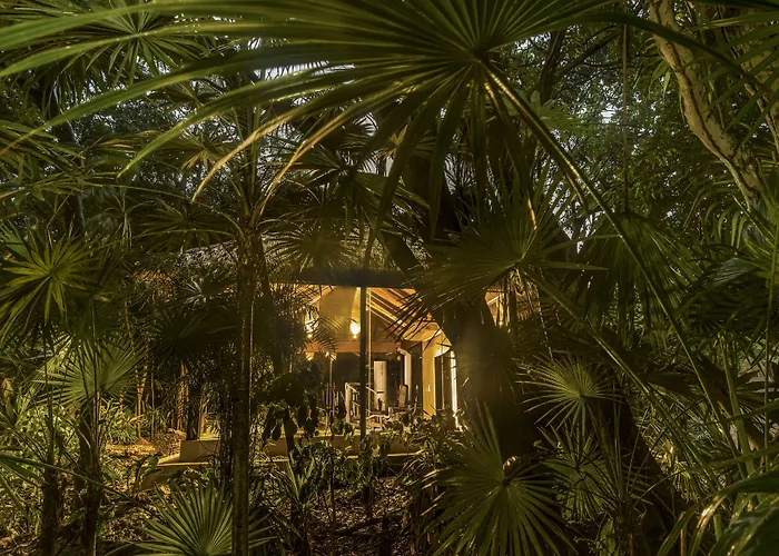 Viceroy Riviera Maya, A Luxury - Adults Only Resort