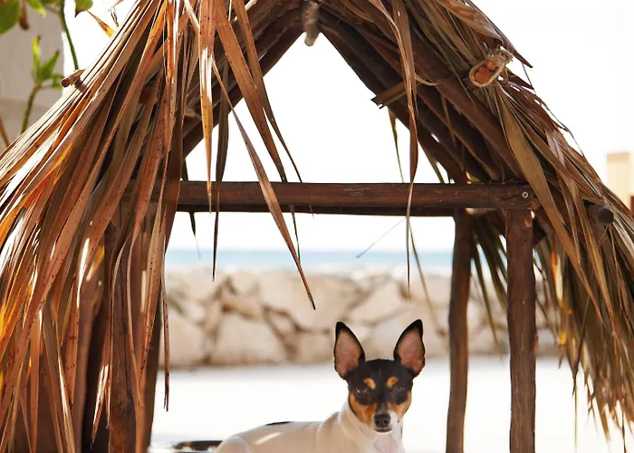 Resort Viceroy Riviera Maya, A Luxury - Adults Only
